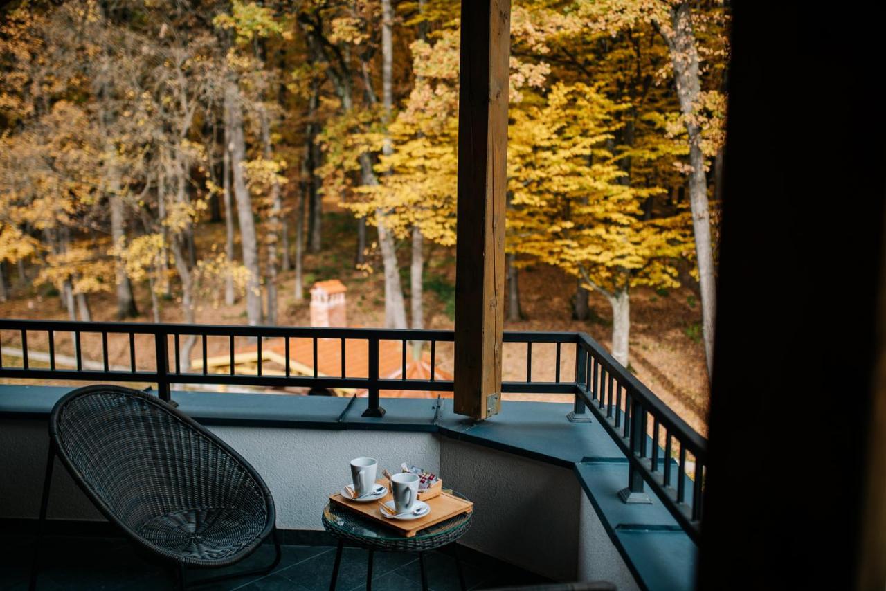 Panorama Boutique Hotel Sfântu-Gheorghe Exterior foto